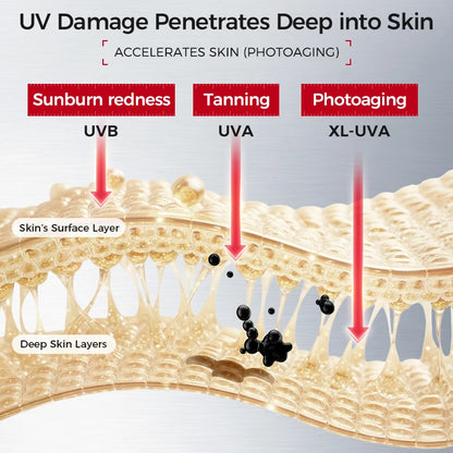 SPF50+ Facial Sunscreen | Broad Spectrum UV Protection, Lightweight, Non-Greasy, Hydrating & Brightening